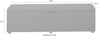 Places of Style Hockerbank »Standard«, mit Stauraum, Breite 120 cm oder 160 cm, auch als Garderobenbank oder Bettbank geeignet