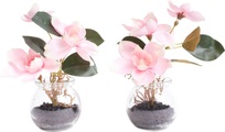 Botanic-Haus Kunstblume »Magnolie im Glas«, (Set, 2 St.)