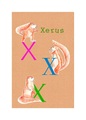 Komar Poster »ABC Animal X«