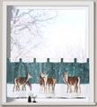 Weckbrodt Scheibengardine »Hirsche im Schnee«, (1 St.)