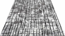 Teppich, »Moda 1139«, Carpet City, rechteckig, Höhe 11 mm, maschinell gewebt