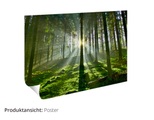 Artland Wandbild »Fotocollage von 32 bunten Haustüren«