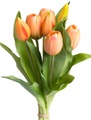 DELAVITA Kunstblume »Willa«, (Set, 7 St.), Tulpenbündel im 7er-Set