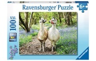 Flauschige Freundschaft