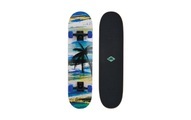 Skateboard Slider Aloha Unisex Multicolor