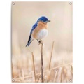 Reinders! Poster »Blauer Vogel«, Outdoor für Garten oder Balkon