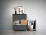 Places of Style Vitrine »Onyx«, mit Soft-Close-Funktion
