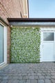 GardenDeluxe living, GardenDeluxe living Dekozaun »Spalier Jadeblatt«, ausziehbarer Zaun, mit Kunstranke, natürliche Optik, Sichtschutz