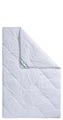 f.a.n. Schlafkomfort Microfaserbettdecke »Microfaser kochfest«, warm, (1 St.), Bettdecke, 135x200, 155x220 cm und weitere Grössen, Sommer oder Winter