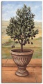 Artland Wandbild »Olivenbaum«