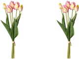 my home Kunsttulpe »Tulpenbund«, (2 St.)