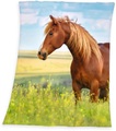 HERDING, Herding Fleecedecke Pferd - bunt - Gr.130 cm