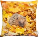 Apelt Kissenhülle Herbstzeit