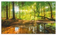 Artland Küchenrückwand »Wald mit Bach«