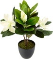 I.GE.A. Kunstblume »Magnolie«, Im Topf Magnolienbusch künstlich Frühling Seidenblumen Raumdeko