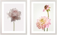 Komar, Komar Bild mit Rahmen »Floral Delights«, (2 St.), Hochwertigen Echtholzrahmen. FSC zertifiziert, was eine nachhaltige Forstwirtschaft garantiert.