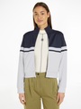 Tommy Hilfiger Sweatjacke »BLOCKED STRIPE REG ZIPTHRU HWK«, mit Logostickerei