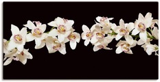 Artland Wandbild »Weisse Orchideen«