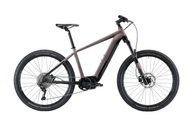 Allegro, ALLEGRO E-Bike »Pro AXM°04«, Mittelmotor 250 W