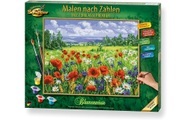 Blumenwiese