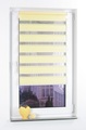 Doppelrollo, Liedeco, »Klemmfix DUO-Rollo YOUNG COLOURS«, Lichtschutz, Fixmass, ohne Bohren