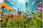 Artland Wandbild »Buntes Blumenfeld«, Blumenwiese, (1 St.), in vielen Grössen & Produktarten - Alubild / Outdoorbild für den Aussenbereich, Leinwandbild, Poster, Wandaufkleber / Wandtattoo auch für Badezimmer geeignet
