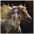 Artland Glasbild »Geisterpferd«