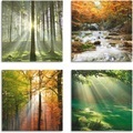 Artland Leinwandbild »Wald Wasserfall Herbsttag«