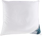 Haeussling Federkissen »Kuscheltraumkissen soft«, Füllung: 70% Federn, 30% Daunen, (1 St.)