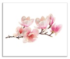 Artland Küchenrückwand »Magnolie«