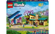 42620 Ollys und Paisleys Familien Haus Multicolor