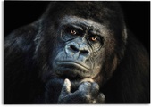 Reinders! Glasbild »Glasbild Gorilla Affe - Kräftig - Nachdenklich«, Affen, (1 St.)