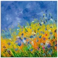 Artland Glasbild »Wildblumen«