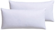 RIBECO Federkissen »Kopfkissen-Set Lara, Kissen mit Daunenanteil, in 40x80 oder 80x80 cm«, Füllung: 90% Federn, 10% Daunen, (2 St., 2-tlg.)
