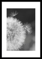 Bönninghoff, Bönninghoff Bild mit Rahmen »Cheb ca.50x70 cm«, (1 St.)