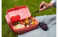 Coop Lunchbox Connect