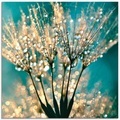 Artland Glasbild »Pusteblume Schirmchen abstrakt«