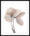 queence Bild »Annabell«, Blumen, Blumen, gerahmt