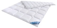 f.a.n. Schlafkomfort Microfaserbettdecke »Kansas«, 4-Jahreszeiten, (1 St.), Bettdecke in 135x200 oder 155x220 cm, Wärmeklasse 4-Jahreszeiten