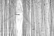 Papermoon Fototapete »Photo-Art AGLIONI SIMONE, BEWEGUNGSFREIHEIT«, Vliestapete, hochwertiger Digitaldruck, inklusive Kleister