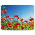 Reinders! Poster »Sommerblumen«, Outdoor für Garten oder Balkon