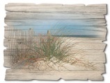 Artland Holzbild »Schöne Sanddüne mit Gräsern und Zaun«