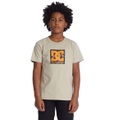 DC Shoes T-Shirt »DC Square Star Fill«