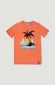 O'Neill T-Shirt »