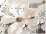 Artland Wandbild »Magnolie_Detail«, Blumenbilder, (1 St.), in vielen Grössen & Produktarten - Alubild / Outdoorbild für den Aussenbereich, Leinwandbild, Poster, Wandaufkleber / Wandtattoo auch für Badezimmer geeignet