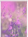 Seitenzugrollo, Lichtblick, »Klemmfix Dekor Blumenwiese«, Lichtschutz, Fixmass, ohne Bohren