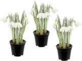 IGEA, I.GE.A. Kunstpflanze »Schneeglöckchen«, (3 St.), Geeist, im Topf, 3er Set Kunstblume Künstliche Frühjahrsblüher Blüten Osterblumen Osterdeko Osterglocken Topfpflanzen Frühlingshafte Kunstpflanzen Mittelstücke Tischdeko