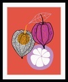 queence Bild »Franziska«, Obst, gerahmt, Obst