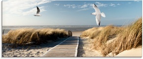 Artland Glasbild »Nordseestrand auf Langeoog mit Möwen«
