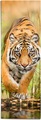 Reinders!, Reinders! Poster »Tiger im Anflug«